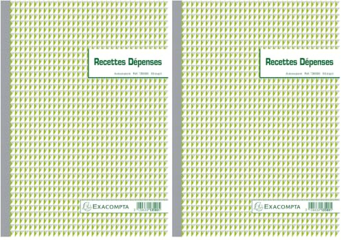EXACOMPTA Manifold Recettes-Dépenses 297 x 210 mm 50 feuillets dupli (Lot de 2)