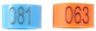 Hoement 100piezas Anillas para Palomos Numeradas de Plástico Bandas de Identificación para Aves Adecuadas para Loros y Aves de Corral Kit Completo con Herramientas para Color Aleatorio