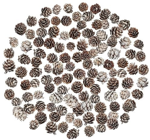200 Pièces Pommes de Pin de Noël, Mini Pommes de Pin Naturelles Pommes De Pin De Pommes De Pin De Noël Ornements pour La Maison Bricolage Artisanat Arbre De Noël Automne Hiver Décoration, Blanc
