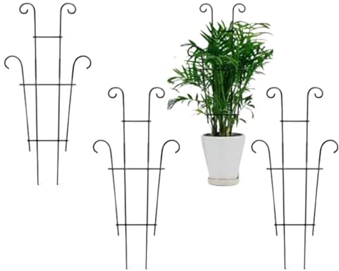 Soporte para plantas – Enrejado de metal antioxidante, estructura de escalada Monstera, soporte vertical para plantas para interiores y exteriores, estructura de jardín resistente, diseño en