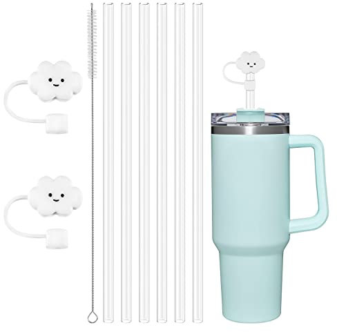 AUAUY 6 PCS Plastic Replacement Straws for Stanley 40oz 30oz Cup, Reusable Transparent Straws Compatible with Stanley Adventure Quencher Travel Tumbler, Cup Straws with Cleaning Brush & Straw Covers