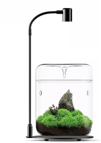 Glas Pflanzen Terrarium 12 x 17.5cm Zoll Sukkulenten Luftplanter Farn Moos Micro-Landschaft Vase für die Dekoration von Zuhause Büro Tischplatte Container mit Deckel Indoor (mit Licht)