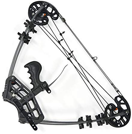 AMEYXGS Hunting Bogenschieen Dual Purpose Compoundbogen 50lbs Stahlkugel Bogen Suitable for Outdoor Sports Alloy Version Double Pulley Compound Steel Ball Bow