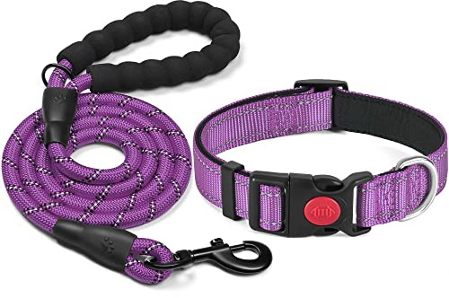 haapaw Reflekterande hundhalsband vadderat med mjuk neopren andningsbar justerbar hundhalsband i nylon för små medelstora hundar