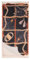 SCIARPE, FOULARD E COLLI Donna LIU JO 2A5026 T0300 22222