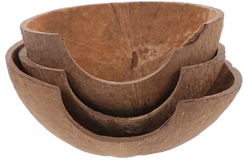 UPKOCH 3 pièces Cachette Reptile Décorative Résistante Coque Naturelle Abri pour Terrarium pour Gecko Lézard et Serpent