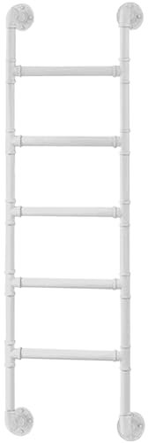 Échelle droite en métal multi-usage avec fixations de montage, idéale pour l'escalade et la cave, fenêtre de cave, 200 cm