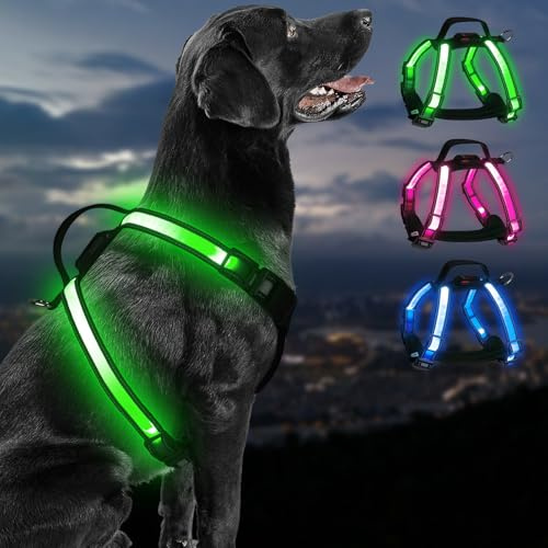 PZRLit Rechargeable LED Dog Harness – Multi-Color Light Up Glow Dark Vest with Reflective Strips, Waterproof Adjustable Soft Mesh Safety Harness for Small Medium Large Dogs Night Walking-Medium