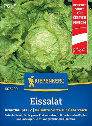 Kiepenkerl Profi-Line Eissalatsamen Grazer Krauthäuptel 2 1076400 - Knackige Blätter mit mild-süßem Geschmack - Salatsamen, Saatgut, Eisbergsalat