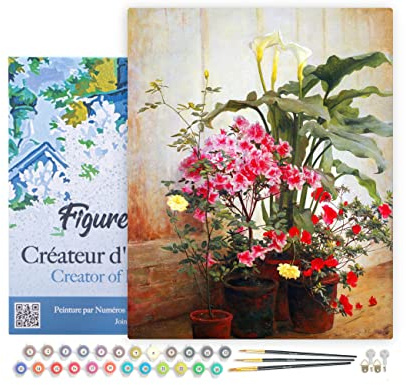 Figured'Art Peinture par Numéro Adulte avec Cadre Côté d'une serre - George Cochran Lambdin - Activité Manuelle Kit de Loisir Créatif DIY Numéro d'Art Complet - 40x50cm toile tendue sur châssis