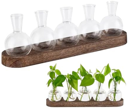 Glass Propagation Vase Set with Wooden Stand, 5 Bulb Terrarium Jars for Plant Cuttings, Hydroponic Root Growing Station for Home Office Decor, Gift for Gardening Lovers