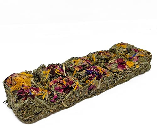 Reptile World Tortoise Forage Treat Bar - Flower 1pk | 100% Natural Botanical Treat for Tortoises & Reptiles, Boredom Busting Enrichment