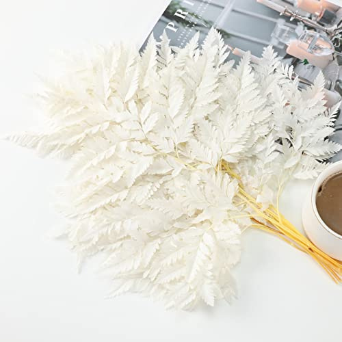 Tavkite 10 felci bianche conservate con steli, foglie vere da 38,1 cm, per fiori secchi, ghirlanda di nozze, bouquet, decorazione da tavolo, vaso