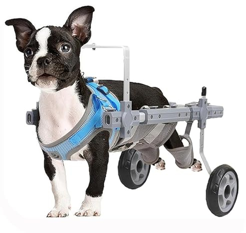 Liten/Medelstor/Stor Hundvagn, Hundrehabiliteringsassisterad Gåvagn med Hjul, Lyfthjälpmedel Hund Katt Mobilitetsverktyg(S)
