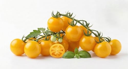 Semi di Pomodoro Ponderosa Giallo 6g | Varietà Antica di Pomodoro Giallo Grande e Carnoso | Semi da Orto Alta Germinazione | Ideali per Orto, Vaso e Balcone | Sementi Ortaggi Facili da Coltivare