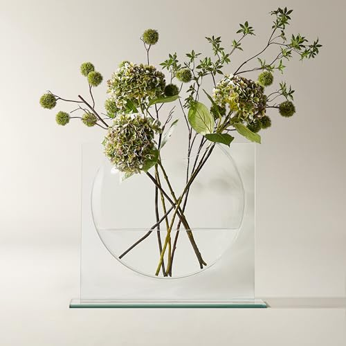 Z Gallerie 24 inch Clear Ellipse Glass Vase Modern Sculptural Decorative Vase for Home Centerpieces Bookshelf Console Table Office Interior Decoration 24 x 5.3 x 20