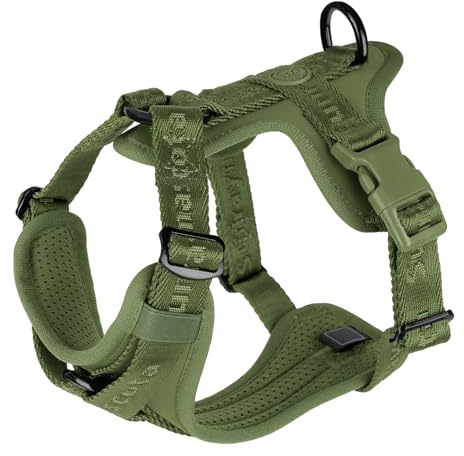 Arnés para Perros Sunraymascota con Acolchado Suave de Licra, Chaleco cómodo de Malla Transpirable, tamaño Ajustable para Razas pequeñas, Medianas y Grandes, Paseos Seguros (Verde Niebla, M)