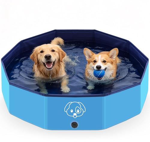 Lozzzyo 80 * 20CM Piscina per Cani Grandi e Piccole in PVC Antiscivolo, Piscina Cani Pieghevoli e Portatili & Facili da Pulire (80 * 20cm)