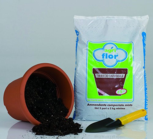 GEOVITAL SERVICE TERRICCIO UNIVERSALE LT. 10 1 CF