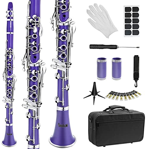 Soulmate Clarinet Bb Flat 17 Nickel Keys Purple Clarinet for Student Beginner with 2 Barrels Hard Case and Cleaning Kit