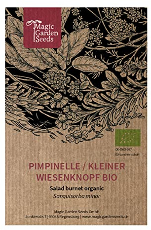 Pimpinelle / Liten burnet (Sanguisorba minor) Ekologisk - ca. 40 frön