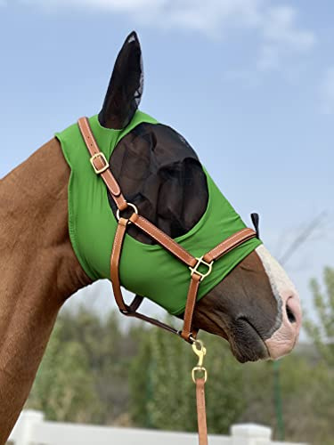 TGW RIDING Horse Fly Mask Super Comfort Horse Fly Mask Elasticity Fly Mask with Ears (M, Hunter Green)