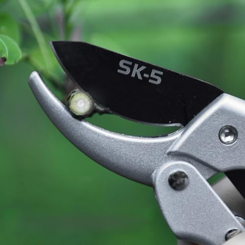 aqxreight Forbici da Potatura in Acciaio Sk 5 Forbici da Giardinaggio Resistenti Alla Ruggine con Blocco e Azione a Molla per Tagliare Cespugli di Rose Arbusti Siepi Rami Leggeri