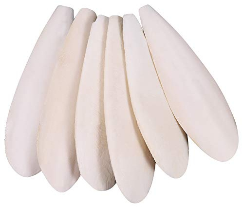 angelikashalala 6 Pcs Parrots Chew Toys