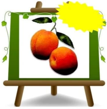 EURO PLANTS VIVAI Abricotier Monteporzio Arbre fruitier Hauteur: 180~200 cm Âge: 4 années Pot: 26 cm