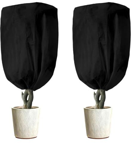 LINSOCLE 2 Stück Pflanzenschutz Winter Schwarz Haube 80 x120cm,Winterschutz für Pflanzen Frostschutz Pflanzenabdeckung Pflanzenschutzsack für Olivenbaum Palmen kübelpflanzen