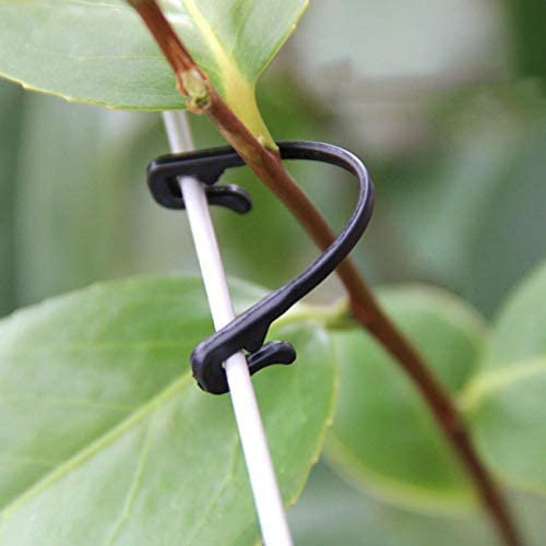Dantazz Pflanzenclips Pflanzenklammern 50PC Kunststoff Pflanzen Feste Clips Gartenpflanzenclip Pflanzenringe Pflanzenchnalle Gemüse Tomate Pflanze Schnalle für Unterstützung und Befestigung (Schwarz)