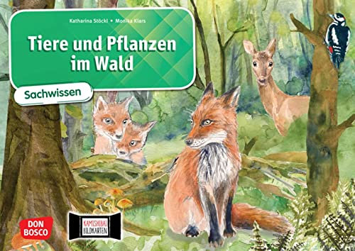 Tiere und Pflanzen im Wald. Kamishibai Bildkartenset: Entdecken - Erzählen - Begreifen: Sachwissen. Material für den Sachunterricht Klasse 1-4, alles ... Wald. (Sachwissen für das Kamishibai)