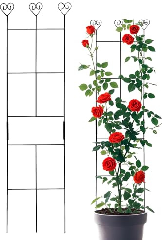 Traliccio per piante rampicanti | Supporto per piante rampicanti da giardino all'aperto – Pali in metallo da giardinaggio per supporto vite Piante d'appartamento in vaso Pothos di verdure da