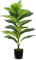 King Collection PIANTA FICUS LYRATA H. 75 cm 21 FOGLIE