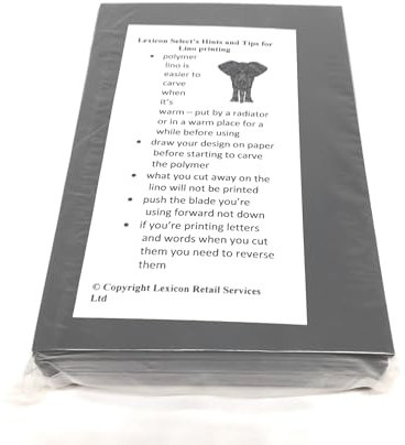 Lexicon Select Doppelseitige Linoleumdruckblöcke, 100 x 150 mm, weiches Polymer, 10 Stück, leicht zu schnitzende Platten für Stempel- und Blockdruckherstellung