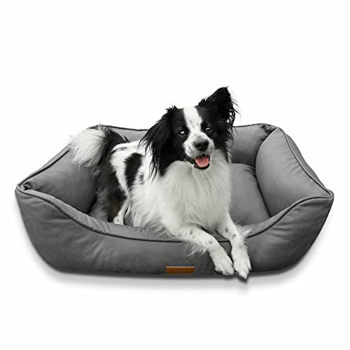 your GEAR Belluno Orthopädisches Hundebett 60x80 cm – Memory-Foam Hundekissen für mittelgroße & kleine Hunde, Oeko-TEX, waschbar & hygienisch, ergonomisch & rutschfest