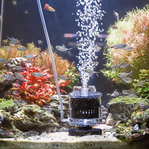 AQQA Filtro in spugna per acquario, piccolo filtro per acquario, filtro interno per acquario, ossigeno Dissolver con pietra d'aria, per allevamento Fry Shrimp Betta