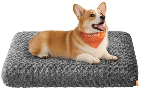 Feandrea Panier pour Chien, Taille L, pour Chiens de Taille Moyenne, Lit pour Animaux, Tissu Peluche, 95 x 60 cm, Rembourrage Doux, Lavable, Antidérapant, Gris Ardoise PGW292GN01