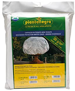 Piantallegra - Cappuccio TNT, tessuto non tessuto, Ideale per Proteggere dal freddo Piante. Spessore 30 gr/mq. Misura sacco chiuso 2,00 larg x2,60 alt per piante di diametro 1,27mt. 1pz a Busta
