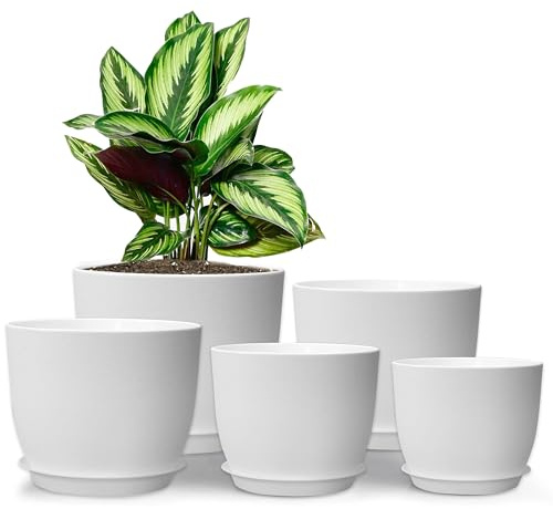 MUAEEOK Set of 5 Plant Pots 25/23/20/18/16 CM, Modern Decorative Plastic Planters with Drainage Holes and Saucers Plastic Flower Pots Nursery Planting Pot for House Indoor Flowers Plants (White)