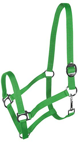 York Nylonhalfter Halfter Genickstück Verstellbar durch Schiebeschnalle Harmony Pferdehalfter (Cob, hellgrün)
