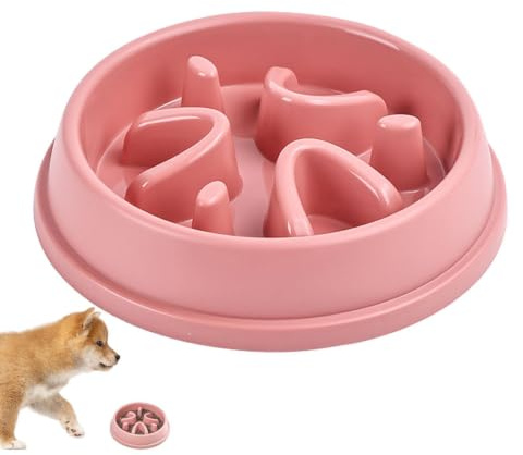 Gamelles pour Chien à Alimentation Lente Grande Race, Gamelle pour Chien à | Bol d'alimentation lente anti-avalement pour