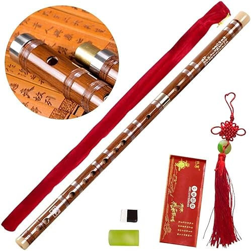 Tyuodna China Bambusflöte SteckbareTaste F Traditionelle chinesische Musikinstrumente Dizi Bitter Bambusmit Membran und Schutz-Set (braun)