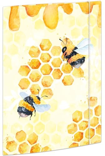 RNKVERLAG 46336 - Sammelmappe Honey 240 x 330 mm, 3 Stück, Dokumentenmappe für DIN A4, mit Gummizugverschluss