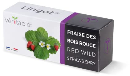 Véritable Lingot® Fraise des Bois Rouge - Compatible Potager d'Intérieur et Exky® - Recharge prête à l'emploi - Substrat avec Graines Intégrées…