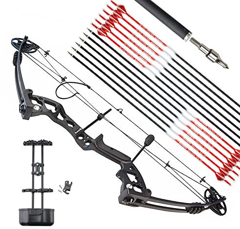 surwolf Compoundbogen Set Bogenfischen 30~55LBS Einstellbare, Bowfishing Reel,Bogen und Pfeil Set Jagdbogen für Erwachsene Jugend Angeln Jagd, Zielschießen,Rechts&Links Hand (Links, schwarz set1)