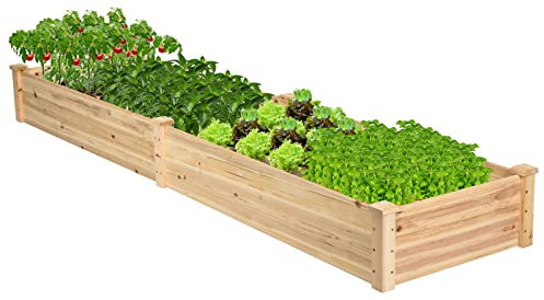 GOPLUS Hochbeet aus Tannenholz, Gartenbeet mit 2 Pflanzkästen & Trennwänden, Blumenkasten mit offenem Boden, Pflanzbeet Pflanzkasten Pflanzkübel für Blumen, Gemüse & Obst (240x60x25cm)