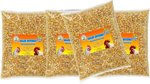 Mais Granturco intero Mangime per Galline Polli Oche Anatre Conf. da 10-15-25 Kg (10 Kg (4 conf. da 2,5 Kg))