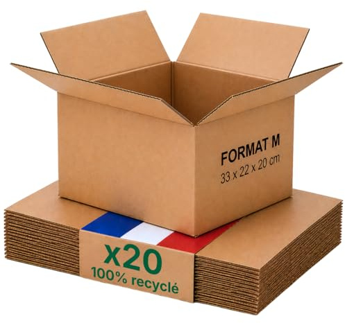 Caisse carton emballage colis M - Lot de 20-31 x 22 x 20 cm - Renforcé - livres, vêtements, accessoires - Life Pack