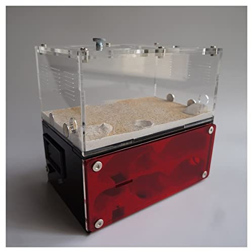 Ameisenfarm Ameisenfarm Aus Beton, Ameisennest Mit Fressplatz, Große Flache Ameisenfarm, Großes Ameisenhaus Und Werkstattschloss 15 X 13,5 X 10cm